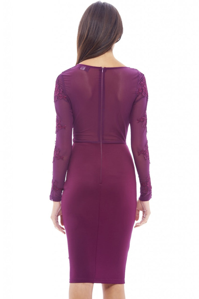 Crochet Mesh  Top Bodycon Dress