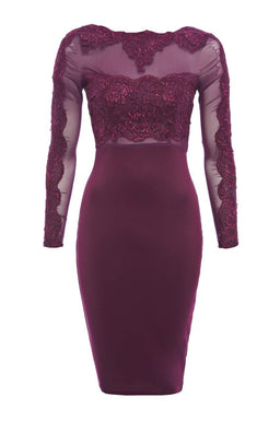 Crochet Mesh  Top Bodycon Dress