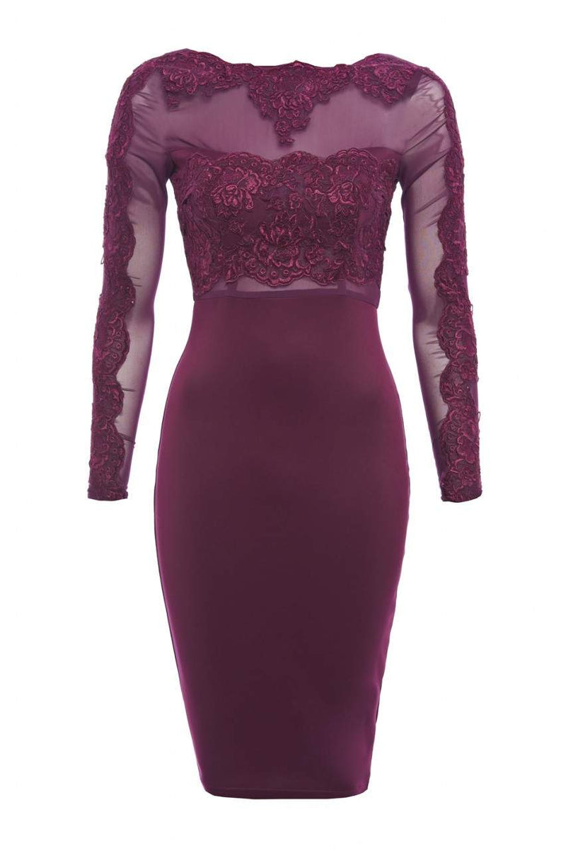 Crochet Mesh  Top Bodycon Dress