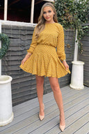 Mustard Polka Dot Long Sleeve Skater Dress