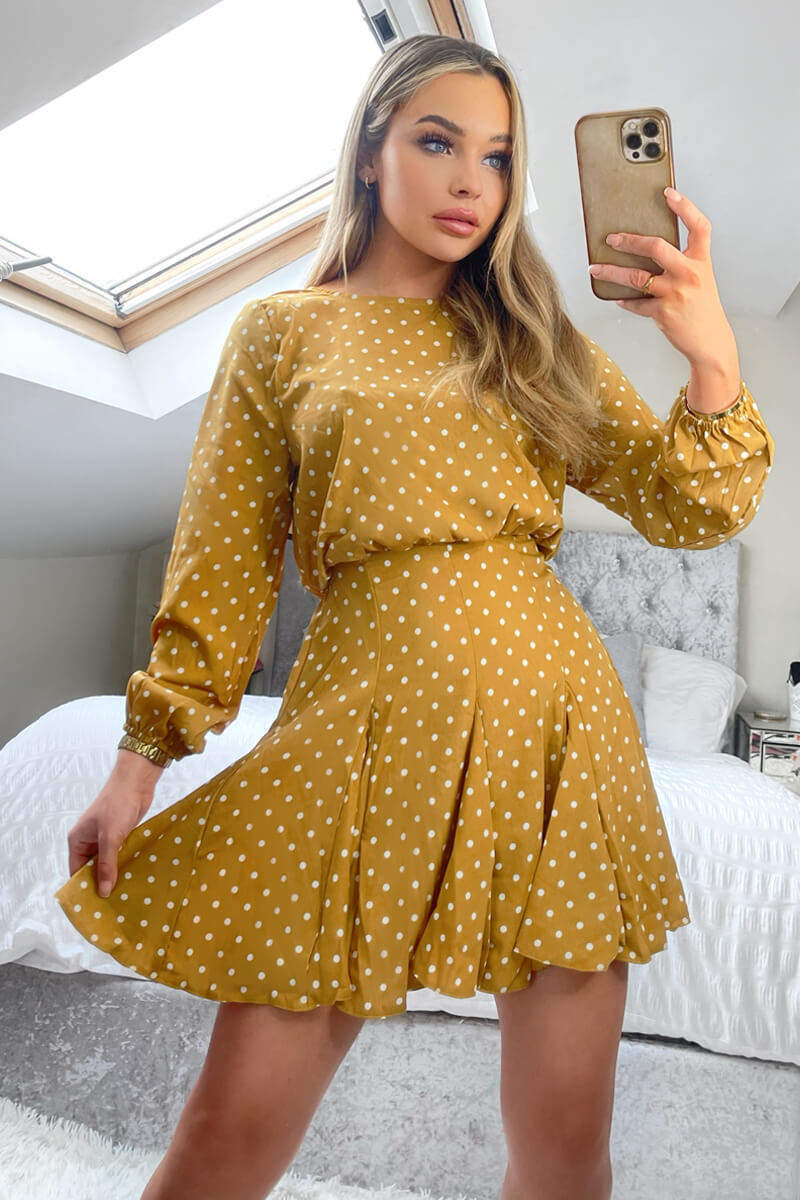 Mustard Polka Dot Long Sleeve Skater Dress