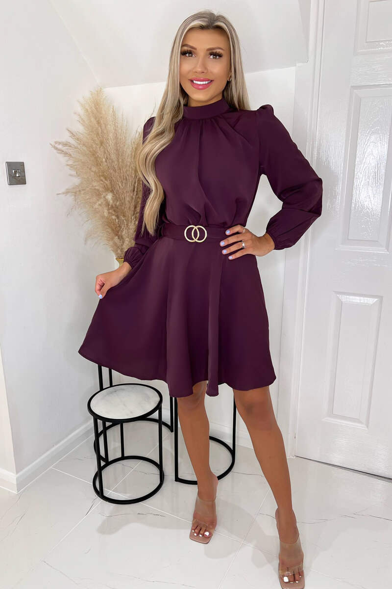 Plum High Neck Long Puff Sleeve Belted Skater Dress