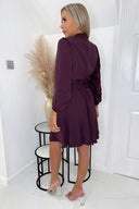 Plum High Neck Long Puff Sleeve Belted Skater Dress