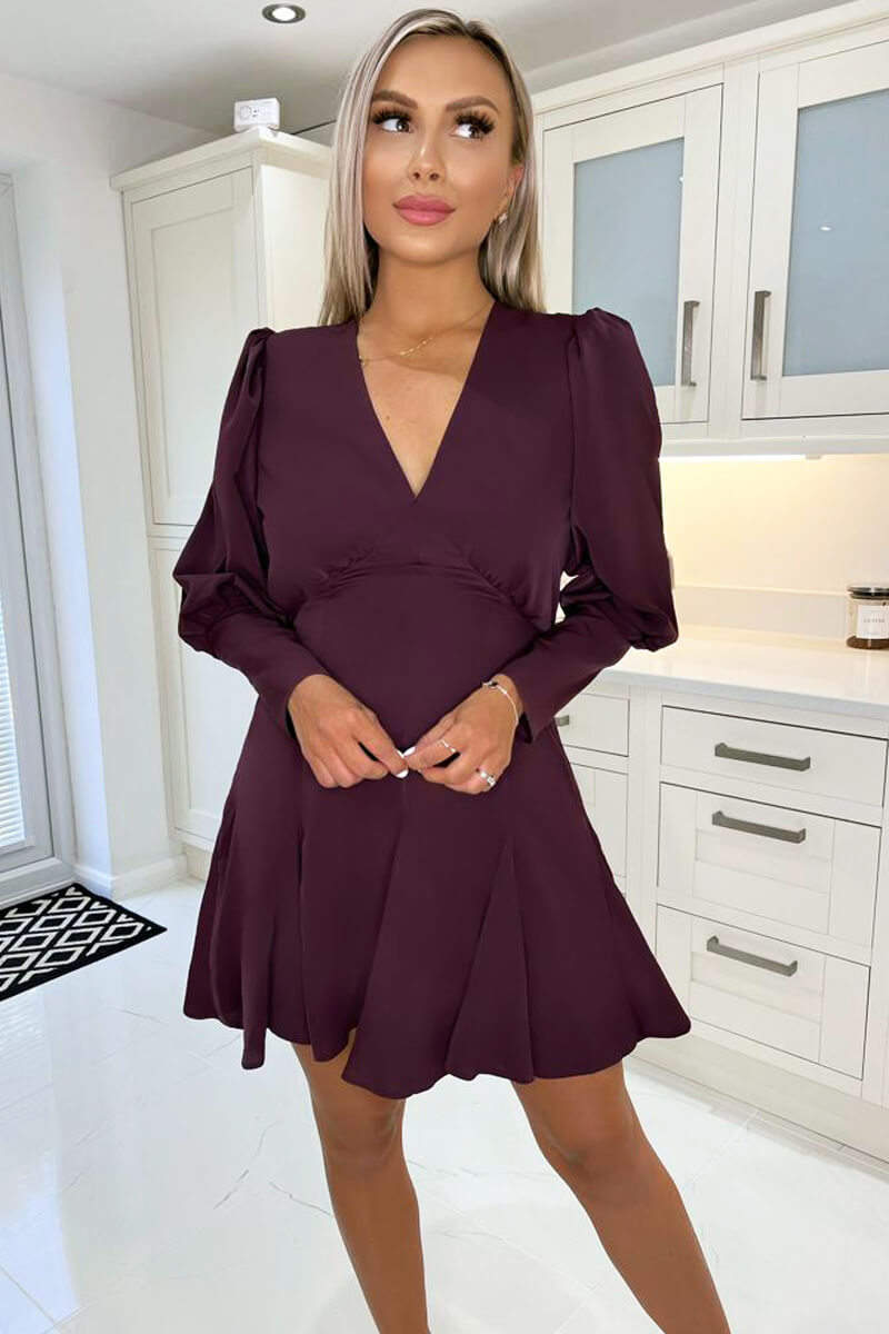 Plum V-Neck Long Sleeve Skater Dress