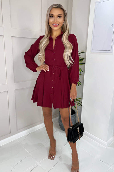 Wine Long Sleeve Belted Pleated Skater Dress – AX Paris US