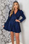 Blue Animal Print Long Sleeve Pleated Skater Dress