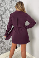 Plum Tie Wrap Long Sleeve Mini Dress