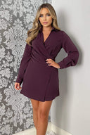 Plum Pleated Gathered Long Sleeve Mini Dress