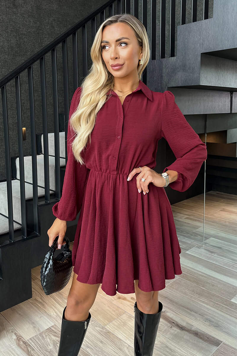 Wine Long Sleeve Mini Skater Dress