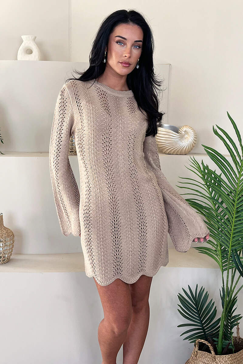 Biscuit Long Sleeve Crochet Mini Dress