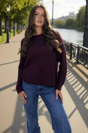 1761047165_Burgundy-Round-Neck-Knit-Jumper-1.jpg