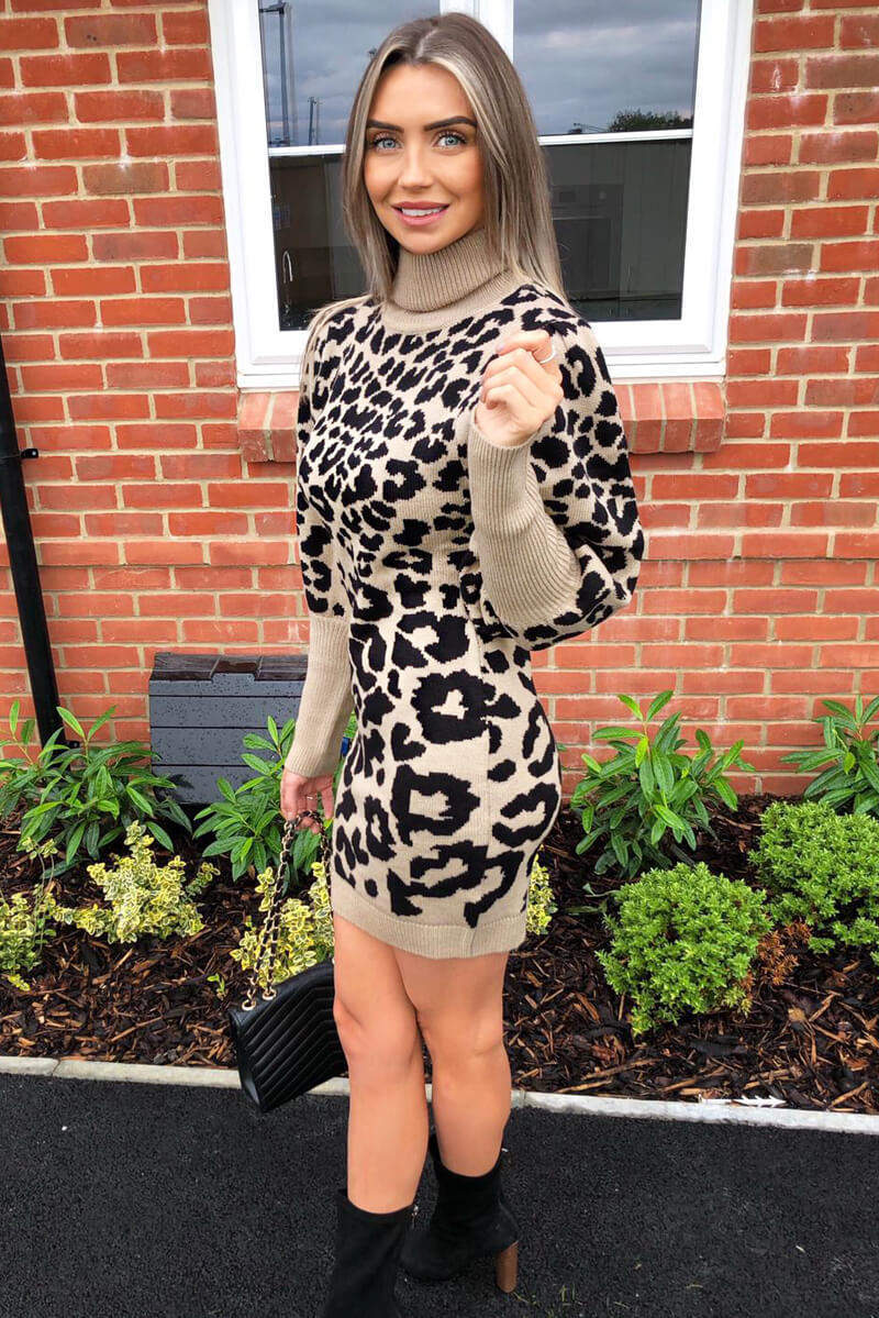 Stone Animal Print Knitted Dress