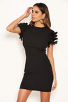 Black Ruffle Mesh Sleeve Bodycon Dress