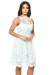 Blue Lace Detail Dress With Full Skirt