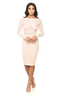 Blush Lace Detail Long Sleeved Bodycon Dress
