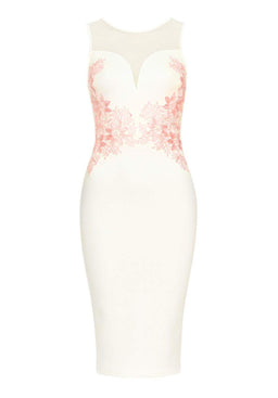 Cream Sheer Top Bodycon With Lace Detail
