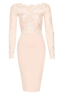 Blush Lace Detail Long Sleeved Bodycon Dress