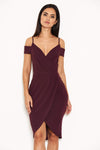 Plum Wrap Around Dress