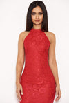 Red Racer Neck Lace Fish Tail Dress