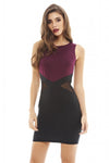 Mesh Insert Bodycon Dress