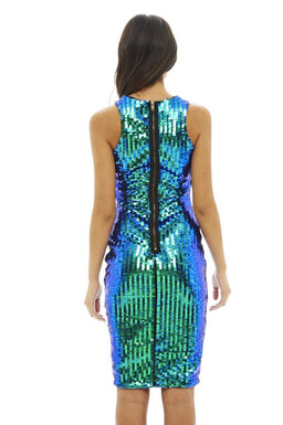 Sequin Covered Bodycon Dress