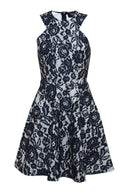 All Over Lace Skater Dress