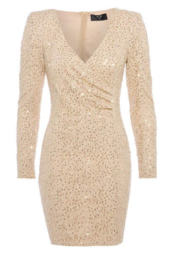 Long Textured Sequin Sleeve V Front Dress
