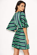 Green striped Skater Dress