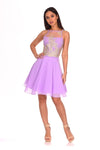 Lilac Mesh Gold Embroidered Skater Dress