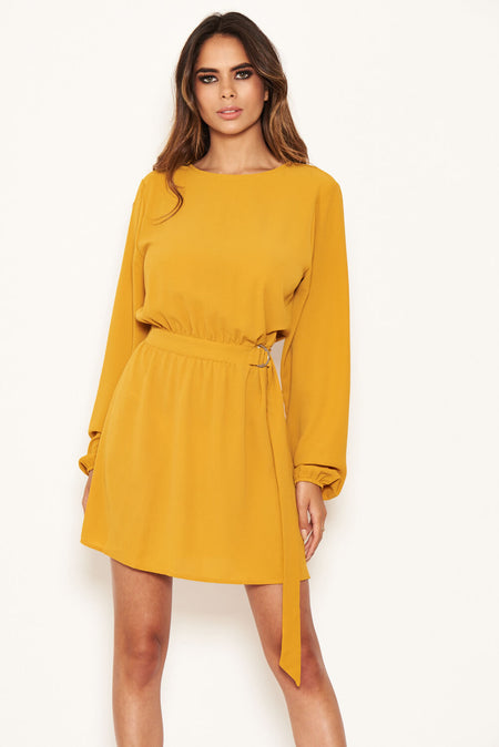 Mustard Long Sleeve Belted Day Dress