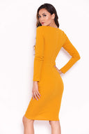 Mustard Ruched Sleeved Dress