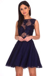 Navy Embroidered Mesh Skater Dress