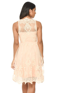 Nude Lace Detail Dress With Full Skirt
