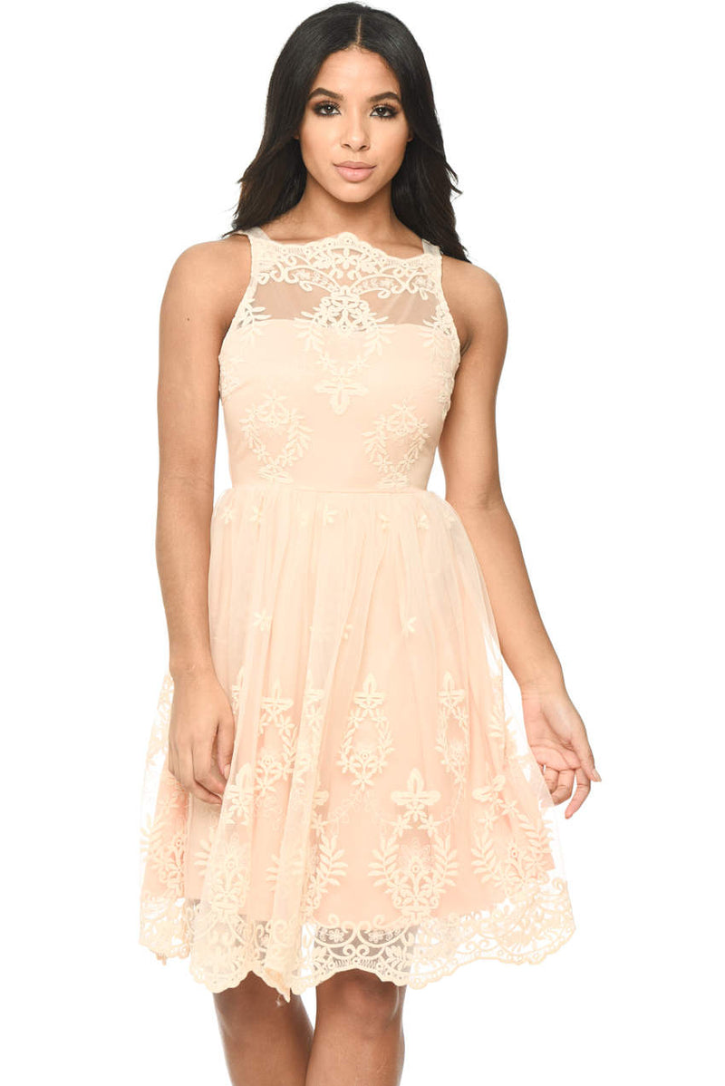 Nude Lace Detail Dress With Full Skirt