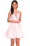 Pink Embroidered Lace Skater Dress