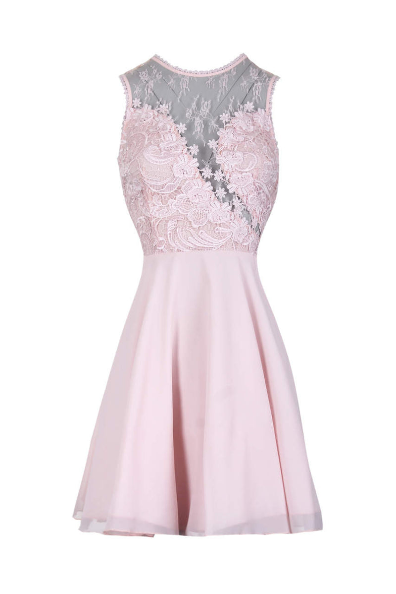Pink Embroidered Lace Skater Dress