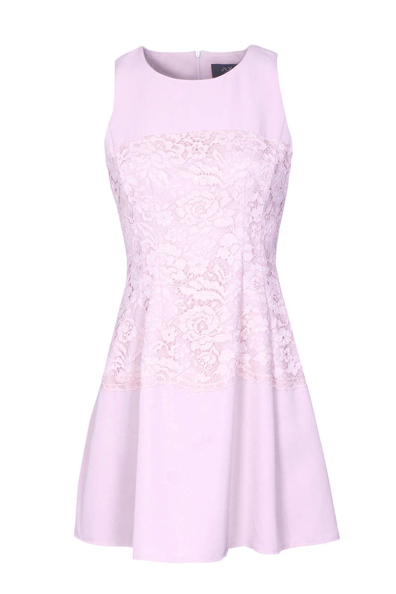 Pink Lace Waist Skater Dress