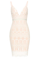 Pink Lace Fitted Mini Dress