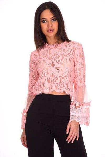 Pink Sheer Lace Long Sleeve Top AX Paris US