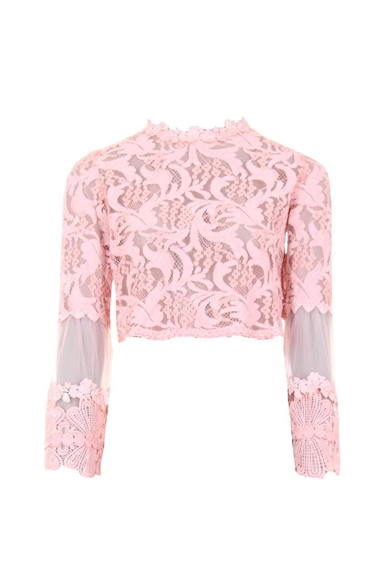Pink Sheer Lace Long Sleeve Top
