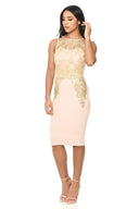 Pink and Gold Crochet Bodycon Dress