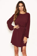 Plum Long Sleeve Belted Day Dress