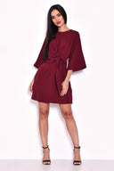 Plum Tie Waist Flared Mini Dress