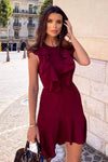 Plum Wrap Frill Detail Dress