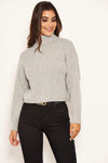 Silver Roll Neck Cropped Knit Jumper