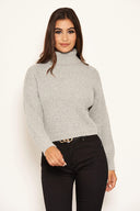 Silver Roll Neck Cropped Knit Jumper