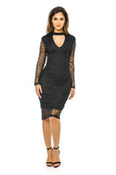 Black Mesh Long Sleeve Dress