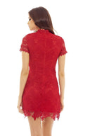 Red High Neck Lace Dress
