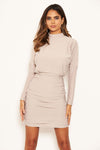Silver Long Sleeve Back Ruched Bodycon Dress